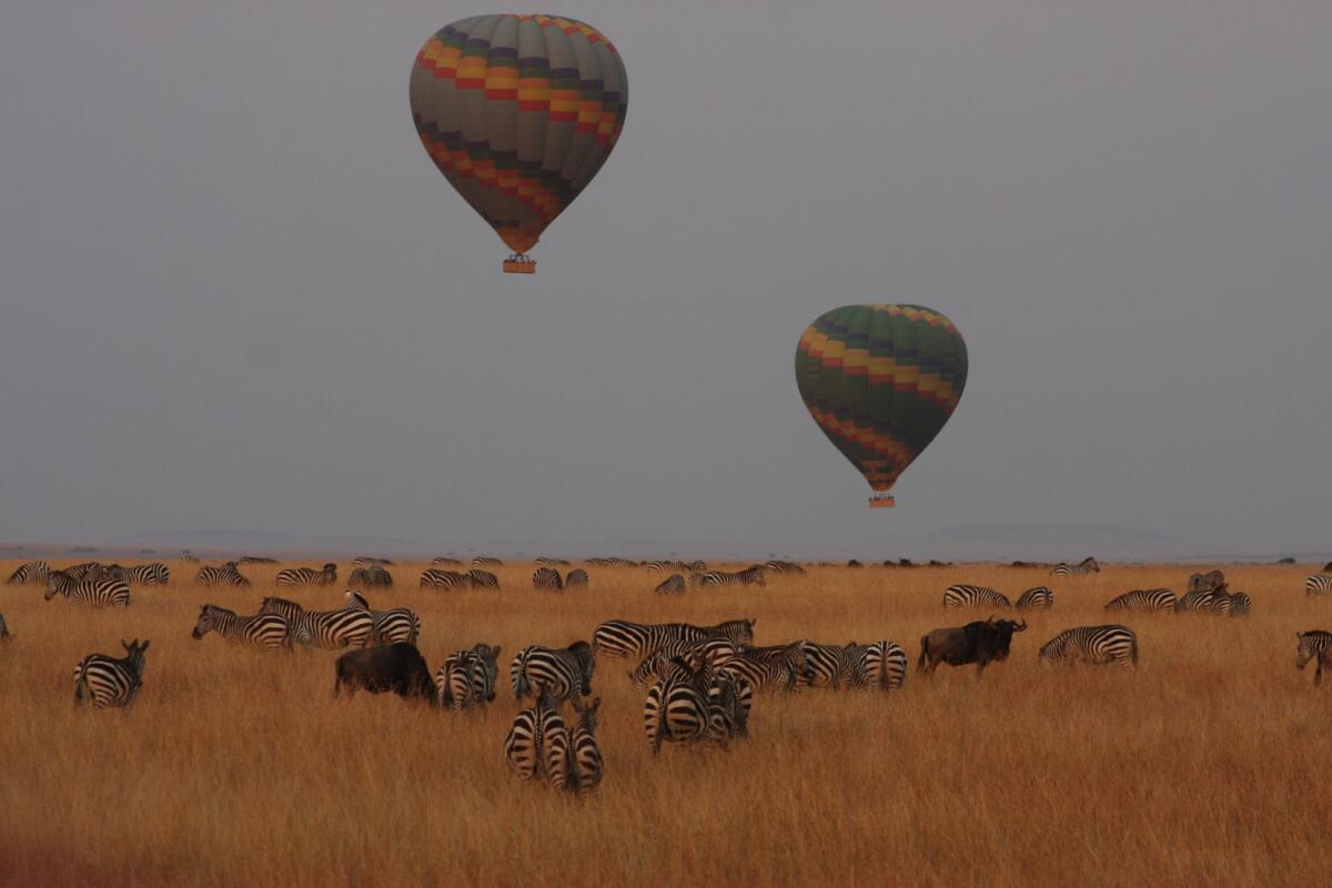 Fig-Tree-Camp-Maasai-Mara-activities-safarike-5 | Erideka Safaris Kenya