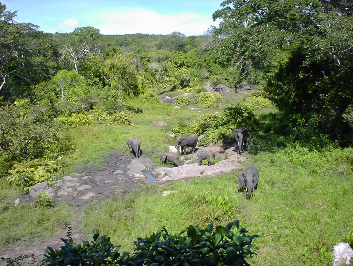 SANYO DIGITAL CAMERA | Erideka Safaris Kenya