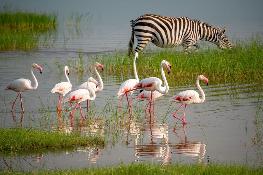 ngorongro_crater_conservation_area_safaris_kenya_tanzania.1 | Erideka Safaris Kenya
