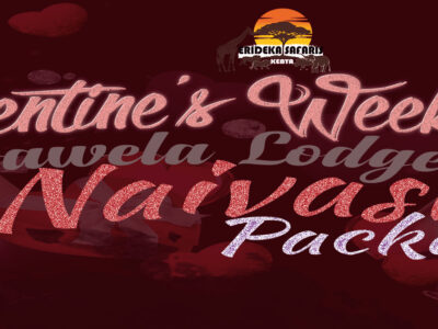 2023 Valentines Package Feature Image | Erideka Safaris Kenya