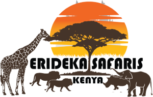 Erideka Safaris Kenya | The Big Five | Erideka Safaris Kenya